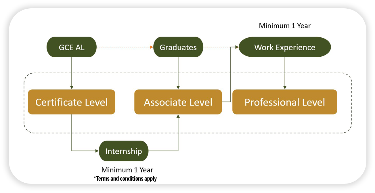 Pathway Diagram - Growth Map